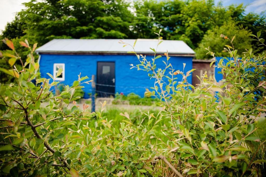 The Snowdon Inn - Y Fricsan Cwm-y-glo Стая снимка